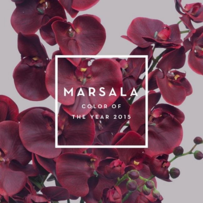 Pantone Color Of The Year Marsala A Wordpress Site